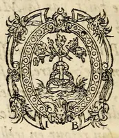 An illustration from Recueil et discours du voyage du roy Charles IX. de ce nom à present regnant, accompagné des choses dignes de memorie faictes en chacun endroit faisant sondit voyage en ses païs & prouinces de Champaigne, Bourgoigne ... & plusieurs autres lieux, suyuant son retour depuis son partement de Paris iusques à son retour audit lieu, és années mil cinq cens soixante quatre & soixante cinq. (1566)