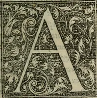 An illustration from Recveil des oevvres (1544)