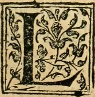 An illustration from Recveil des privilèges, avthoritez, povvoirs, franchises, & exemptions des preuost des marchands, escheuins, & habitans de la ville de Lyon. Auec les arrests de verification d'iceux (1649)