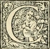 An illustration from Recveil des privilèges, avthoritez, povvoirs, franchises, & exemptions des preuost des marchands, escheuins, & habitans de la ville de Lyon. Auec les arrests de verification d'iceux (1649)