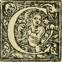 An illustration from Recveil des privilèges, avthoritez, povvoirs, franchises, & exemptions des preuost des marchands, escheuins, & habitans de la ville de Lyon. Auec les arrests de verification d'iceux (1649)