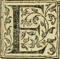 An illustration from Recveil des privilèges, avthoritez, povvoirs, franchises, & exemptions des preuost des marchands, escheuins, & habitans de la ville de Lyon. Auec les arrests de verification d'iceux (1649)