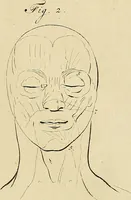 An illustration from Redenvoeringen van wylen Petrus Camper, over de wyze, om de onderscheidene hartstogten op onze wezens te verbeelden : over de verbaazende overeenkomst tusschen de viervoetige dieren, de vogelen, de visschen en den mensch, en over het gedaante schoon : gehouden in de Teken Academie te Amsterdam (1792)