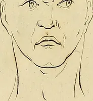 An illustration from Redenvoeringen van wylen Petrus Camper, over de wyze, om de onderscheidene hartstogten op onze wezens te verbeelden : over de verbaazende overeenkomst tusschen de viervoetige dieren, de vogelen, de visschen en den mensch, en over het gedaante schoon : gehouden in de Teken Academie te Amsterdam (1792)