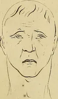 An illustration from Redenvoeringen van wylen Petrus Camper, over de wyze, om de onderscheidene hartstogten op onze wezens te verbeelden : over de verbaazende overeenkomst tusschen de viervoetige dieren, de vogelen, de visschen en den mensch, en over het gedaante schoon : gehouden in de Teken Academie te Amsterdam (1792)