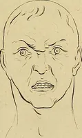 An illustration from Redenvoeringen van wylen Petrus Camper, over de wyze, om de onderscheidene hartstogten op onze wezens te verbeelden : over de verbaazende overeenkomst tusschen de viervoetige dieren, de vogelen, de visschen en den mensch, en over het gedaante schoon : gehouden in de Teken Academie te Amsterdam (1792)