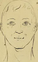 An illustration from Redenvoeringen van wylen Petrus Camper, over de wyze, om de onderscheidene hartstogten op onze wezens te verbeelden : over de verbaazende overeenkomst tusschen de viervoetige dieren, de vogelen, de visschen en den mensch, en over het gedaante schoon : gehouden in de Teken Academie te Amsterdam (1792)