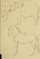 An illustration from Redenvoeringen van wylen Petrus Camper, over de wyze, om de onderscheidene hartstogten op onze wezens te verbeelden : over de verbaazende overeenkomst tusschen de viervoetige dieren, de vogelen, de visschen en den mensch, en over het gedaante schoon : gehouden in de Teken Academie te Amsterdam (1792)