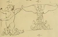 An illustration from Redenvoeringen van wylen Petrus Camper, over de wyze, om de onderscheidene hartstogten op onze wezens te verbeelden : over de verbaazende overeenkomst tusschen de viervoetige dieren, de vogelen, de visschen en den mensch, en over het gedaante schoon : gehouden in de Teken Academie te Amsterdam (1792)