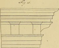 An illustration from Redenvoeringen van wylen Petrus Camper, over de wyze, om de onderscheidene hartstogten op onze wezens te verbeelden : over de verbaazende overeenkomst tusschen de viervoetige dieren, de vogelen, de visschen en den mensch, en over het gedaante schoon : gehouden in de Teken Academie te Amsterdam (1792)