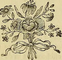 An illustration from Redenvoeringen van wylen Petrus Camper, over de wyze, om de onderscheidene hartstogten op onze wezens te verbeelden : over de verbaazende overeenkomst tusschen de viervoetige dieren, de vogelen, de visschen en den mensch, en over het gedaante schoon : gehouden in de Teken Academie te Amsterdam (1792)