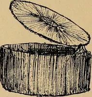 An illustration from Reed and raffia construction work in primary schools; a practical manual especially for primary-kindergarten teachers .. (1904)