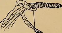 An illustration from Reed and raffia construction work in primary schools; a practical manual especially for primary-kindergarten teachers .. (1904)