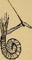 An illustration from Reed and raffia construction work in primary schools; a practical manual especially for primary-kindergarten teachers .. (1904)