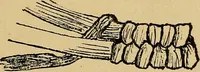 An illustration from Reed and raffia construction work in primary schools; a practical manual especially for primary-kindergarten teachers .. (1904)