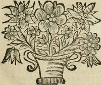 Picture 4 of 26 from Reflexions chrétiennes (1684), leaf 20