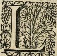 Picture 11 of 26 from Reflexions chrétiennes (1684), leaf 71