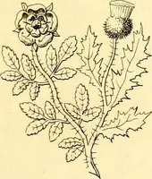 An illustration from Regal heraldry; the armorial insignia of the Kings and Queens of England, from coeval authorities (1821)