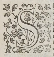 An illustration from Reges, reginae, nobiles, et alij in ecclesia collegiata B. Petri Westmonasterij sepulti, vsque ad annum reparatae salutis 1606 (1606)