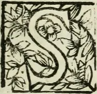 An illustration from Regiae villae poetice descriptae : et Regiae Celsitudini Victoris Amadeii II sabaudiae, et montisferrati ducis pedemontii principis, cypri regis, &c. (1711)