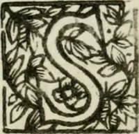 An illustration from Regiae villae poetice descriptae : et Regiae Celsitudini Victoris Amadeii II sabaudiae, et montisferrati ducis pedemontii principis, cypri regis, &c. (1711)