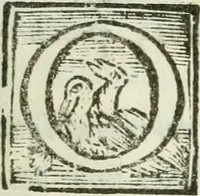 An illustration from Regiae villae poetice descriptae : et Regiae Celsitudini Victoris Amadeii II sabaudiae, et montisferrati ducis pedemontii principis, cypri regis, &c. (1711)