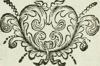 An illustration from Regiae villae poetice descriptae : et Regiae Celsitudini Victoris Amadeii II sabaudiae, et montisferrati ducis pedemontii principis, cypri regis, &c. (1711)