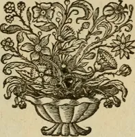An illustration from Regia via crucis (1635)