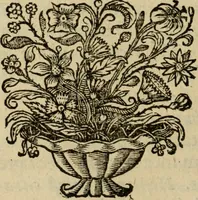 An illustration from Regia via crucis (1635)