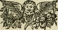 Picture 45 of 114 from Regia via crvcis (1635), leaf 204