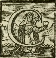 Picture 54 of 114 from Regia via crvcis (1635), leaf 230