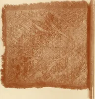 An illustration from Regimental colors in the war of the revolution, by Gherardi Davis (1907)