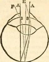 Picture 8 of 11 from Regiæ Scientiarum Academiæ Historia (1698), leaf 339
