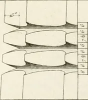 An illustration from Regles des cinq ordres d'architecture de Vignole : ouvrage dans lequel on donne : une idée de la géometrie, les définitions des figures géométriques nécessaires à l'étude de l'architecture, la formation des ordres, rigoureusement démontrée, dans l'origine de l'architecture ... : enfin, les notions nécessaires sur les ordres appellés accessoires (1797)