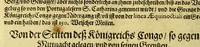 An illustration from Regnvm Congo hoc est Warhaffte vnd Eigentliche Beschreibung dess Königreichs Congo in Africa, vnd deren angrentzenden Länder, darinnen der Inwohner Glaub, Leben, Sitten vnd Kleydung wol vnd aussführlich vermeldet vnd angezeigt wirdt. (1597)
