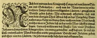 An illustration from Regnvm Congo hoc est Warhaffte vnd Eigentliche Beschreibung dess Königreichs Congo in Africa, vnd deren angrentzenden Länder, darinnen der Inwohner Glaub, Leben, Sitten vnd Kleydung wol vnd aussführlich vermeldet vnd angezeigt wirdt. (1609)