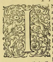 Picture 2 of 8 from Regnvm Congo hoc est Vera descriptio regni Africani, qvod tam ab incolis qvam Lvsitanis Congus appellatur. (1598), leaf 10