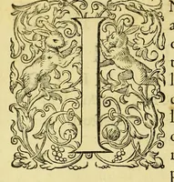 Picture 3 of 10 from Regnvm Congo hoc est Vera descriptio regni Africani, qvod tam ab incolis qvam Lvsitanis Congus appellatur. (1598), leaf 10