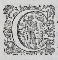 Picture 6 of 31 from Regole militari sopra il gouerno e seruito particolare della caualleria (1611), leaf 44