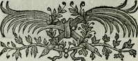 An illustration from Regras das sinco ordens de architectura segundo os principios de Vignhola : com hum ensaio sobre as mesmas ordens feito sobre o sentimento dos mais celebres architectos (1787)