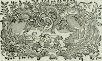 An illustration from Regras das sinco ordens de architectura segundo os principios de Vignhola : com hum ensaio sobre as mesmas ordens feito sobre o sentimento dos mais celebres architectos (1787)