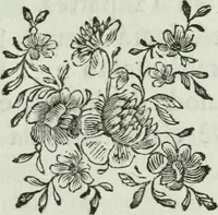 An illustration from Regras das sinco ordens de architectura segundo os principios de Vignhola : com hum ensaio sobre as mesmas ordens feito sobre o sentimento dos mais celebres architectos (1787)