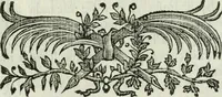 An illustration from Regras das sinco ordens de architectura segundo os principios de Vignhola : com hum ensaio sobre as mesmas ordens feito sobre o sentimento dos mais celebres architectos (1787)
