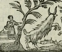 An illustration from Regras das sinco ordens de architectura segundo os principios de Vignhola : com hum ensaio sobre as mesmas ordens feito sobre o sentimento dos mais celebres architectos (1787)