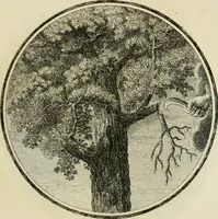 An illustration from Regula emblematica Sancti Benedicti (1783)