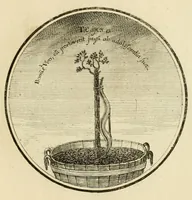 Picture 31 of 38 from Regula emblematica Sancti Benedicti (1780), leaf 329