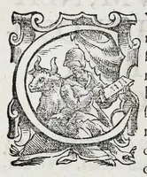 Picture 3 of 26 from Regum neapolitanorum vitae et effigies (1605), leaf 10