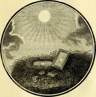 Picture 107 of 191 from Regvla emblematica sancti Benedicti (1780), leaf 228