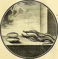 Picture 113 of 191 from Regvla emblematica sancti Benedicti (1780), leaf 240