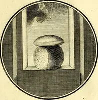 Picture 114 of 191 from Regvla emblematica sancti Benedicti (1780), leaf 242